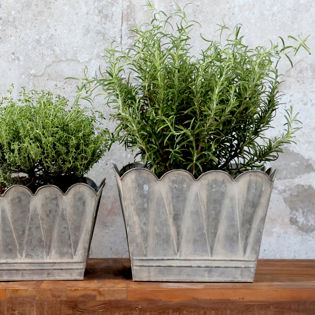 Vasi piante ondulati - Chic Antique