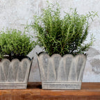 Vasi piante ondulati - Chic Antique