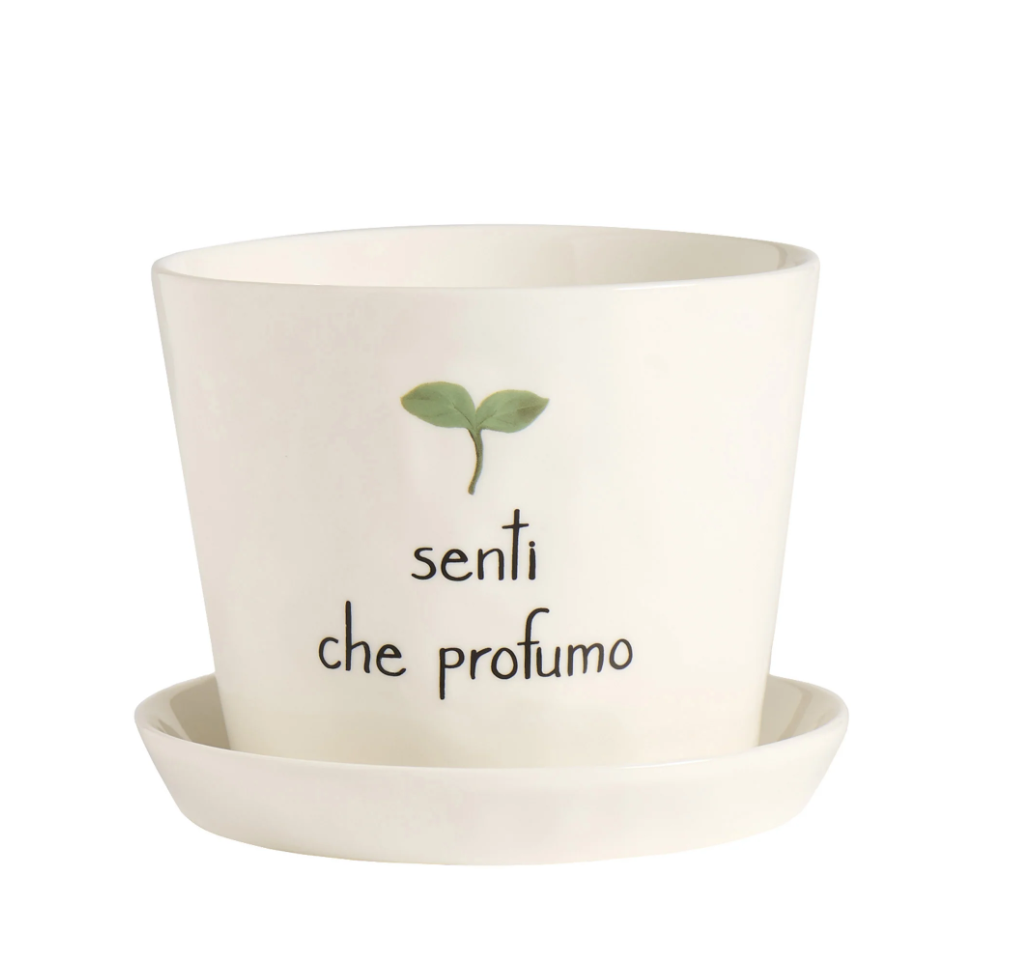 Vaso "Senti che profumo" con sottovaso - Simple Day