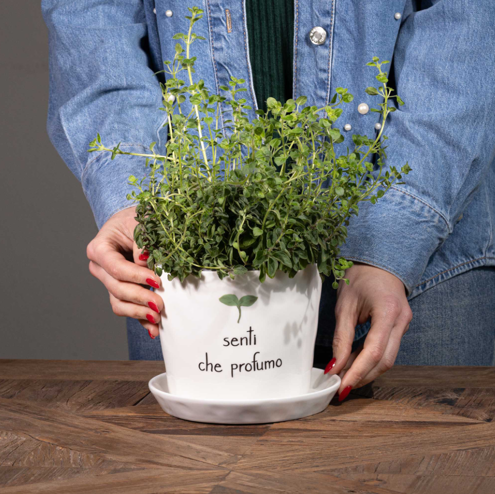 Vaso "Senti che profumo" con sottovaso - Simple Day