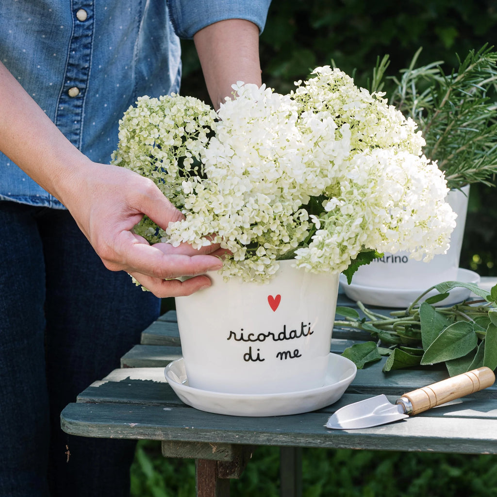 "Remember Me" Vase with Saucer - Simple Day